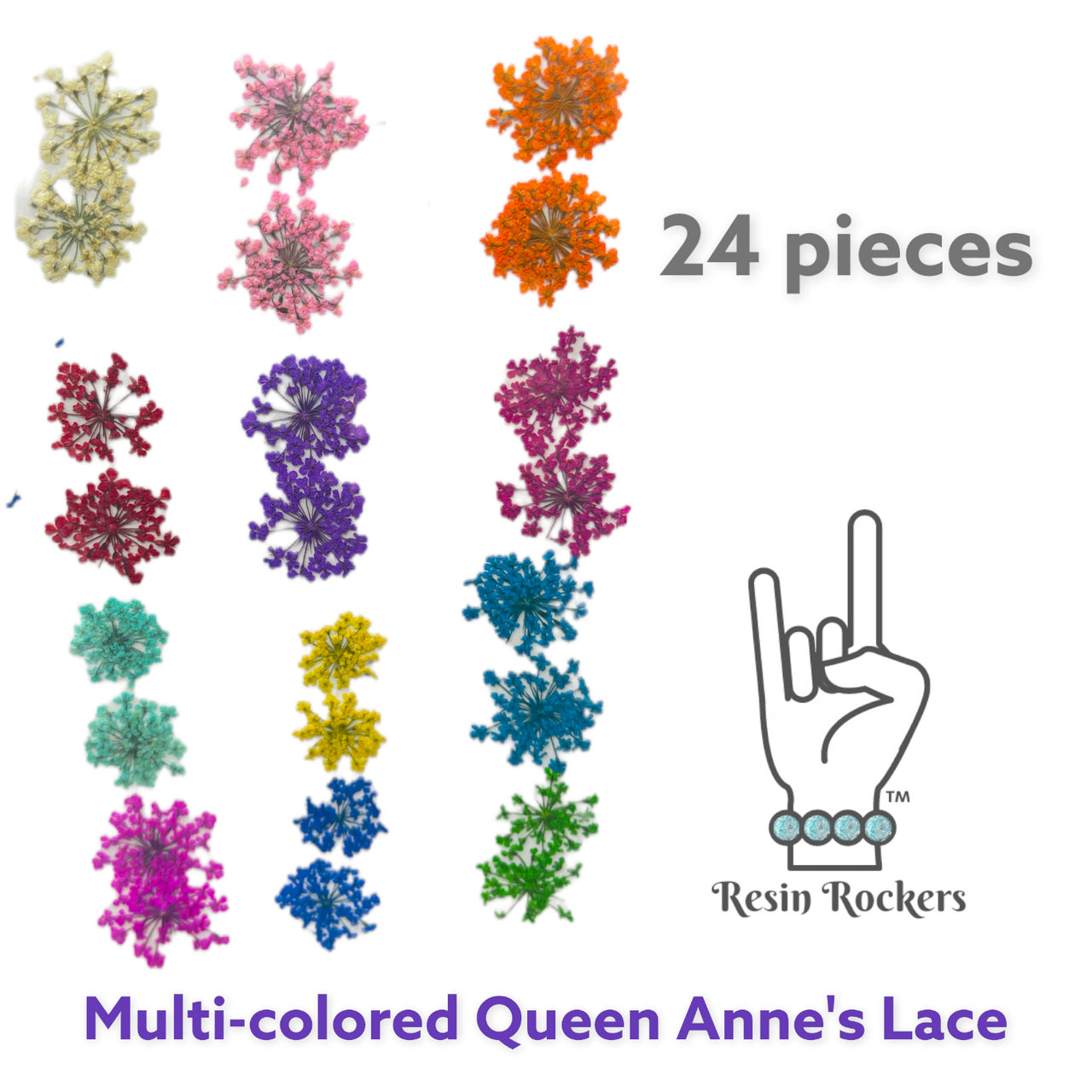 24 Piece Multi-colored Queen Anne's Lace Dried Pressed Real Natural Flowers For Epoxy & UV Resin Art