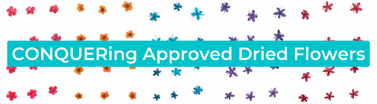 Conquering Approved Dried Flowers