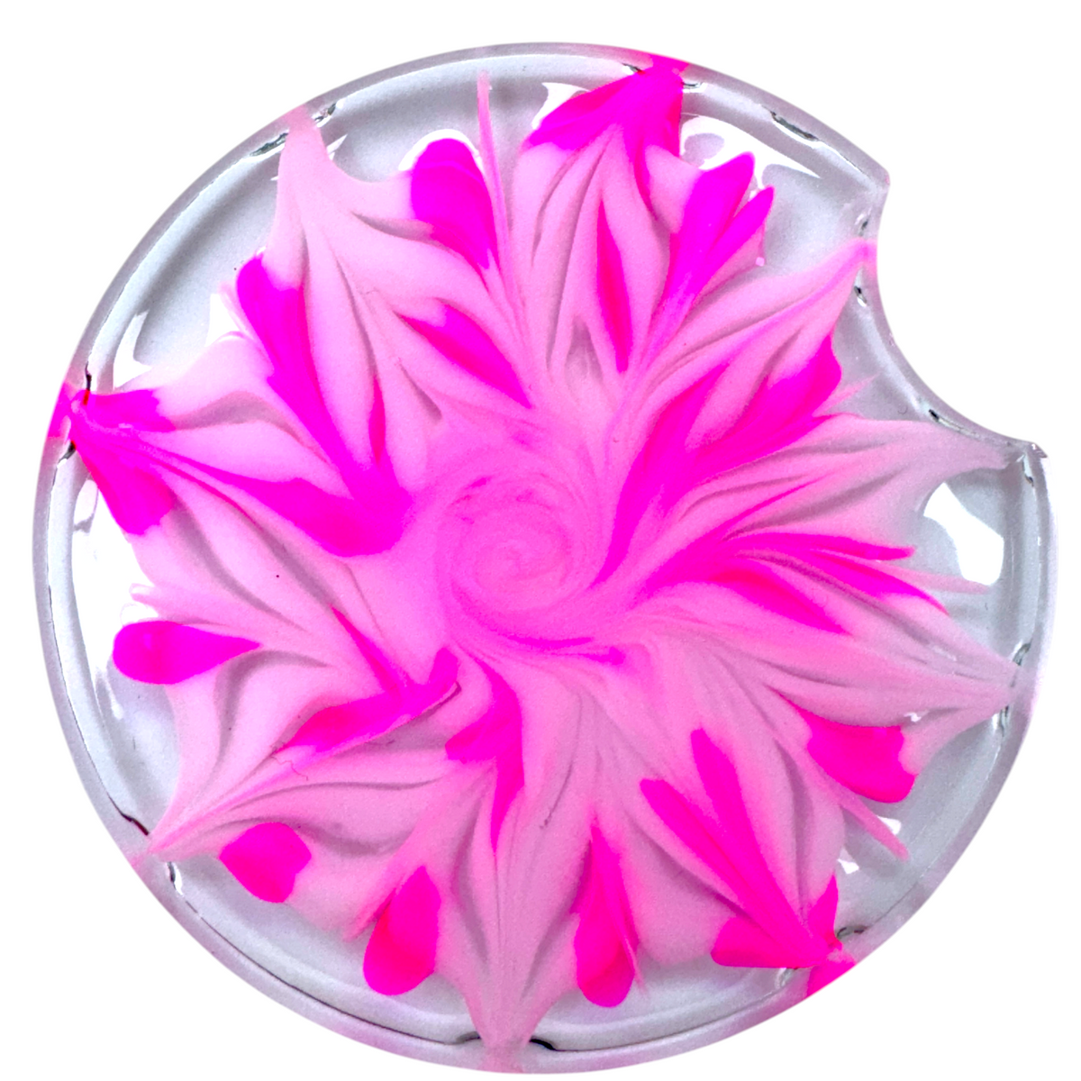 UV Resin Mini Kit Blooms Edition - Rocker Release!