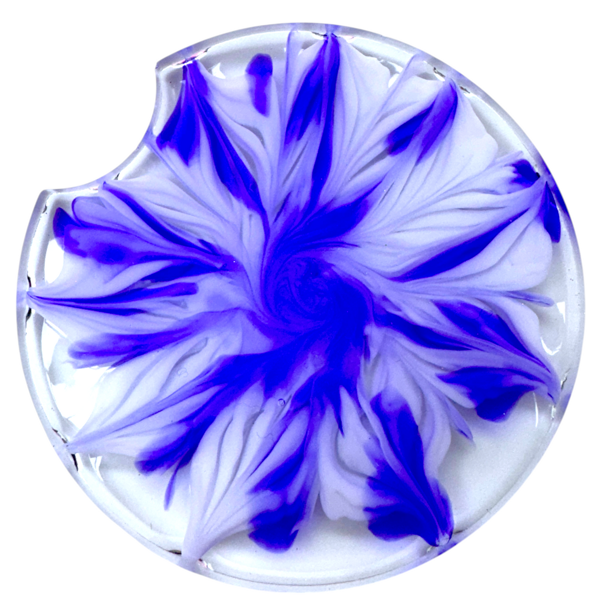 UV Resin Mini Kit Blooms Edition - Rocker Release!