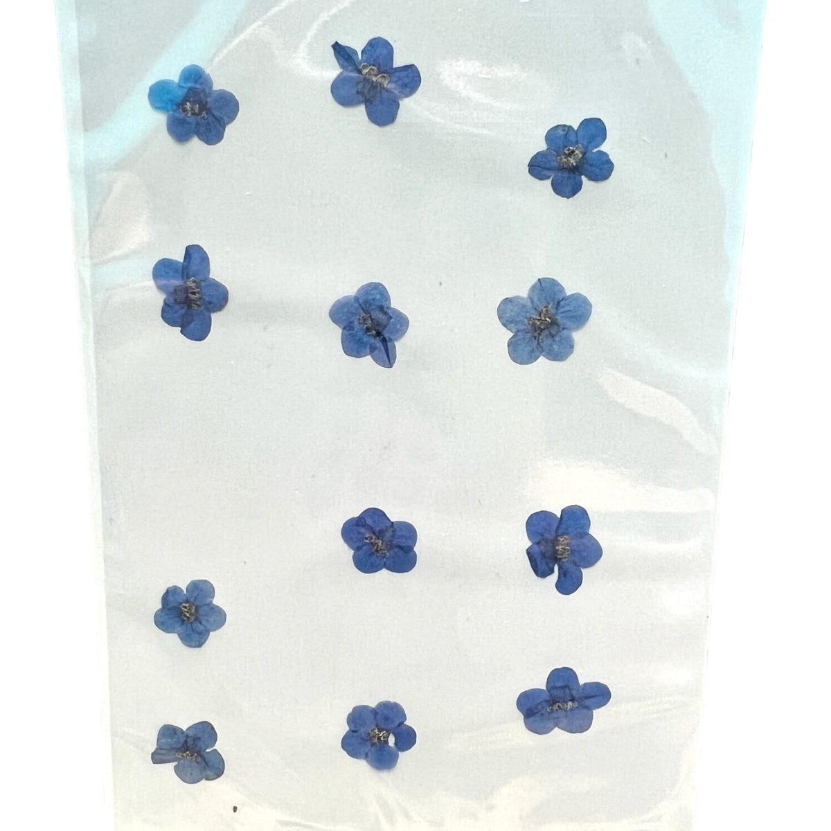 12-piece Blue Forget-Me-Not Dried Pressed Real Natural Flowers For Epoxy &amp; UV Resin Art