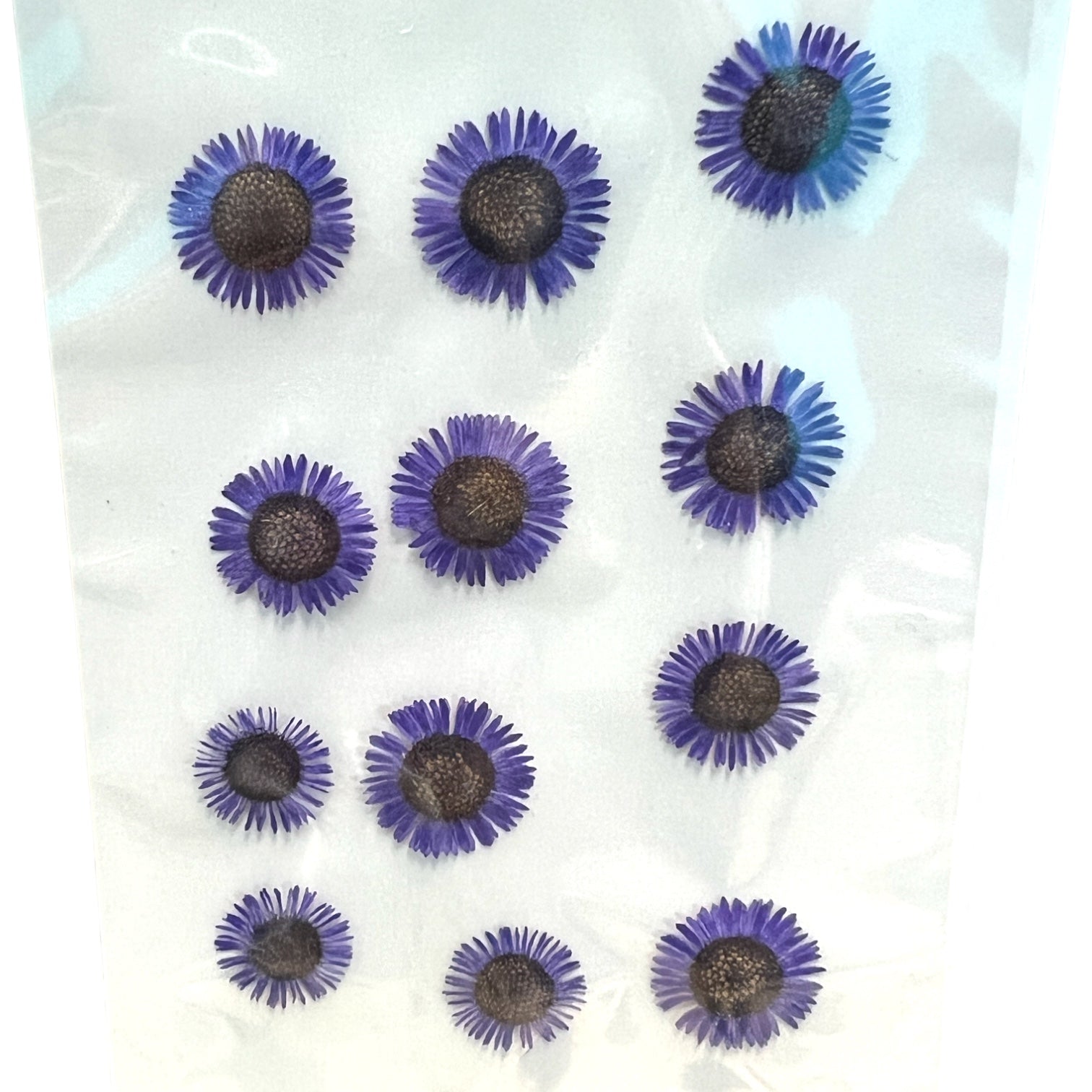 35 Piece Blue Variety Dried Pressed Real Natural Flowers For Epoxy