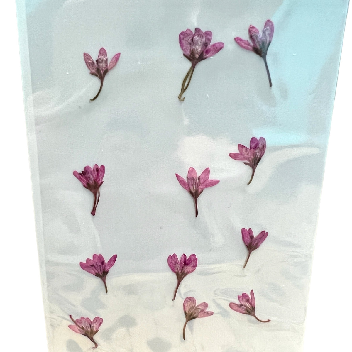12-piece Chloris Virgata Dried Pressed Real Natural Flowers For Epoxy &amp; UV Resin Art