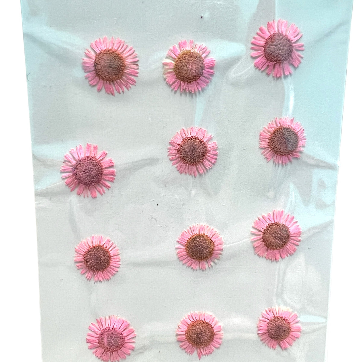 12-piece Needle Chrysanthemum Dried Pressed Real Natural Flowers For Epoxy &amp; UV Resin Art