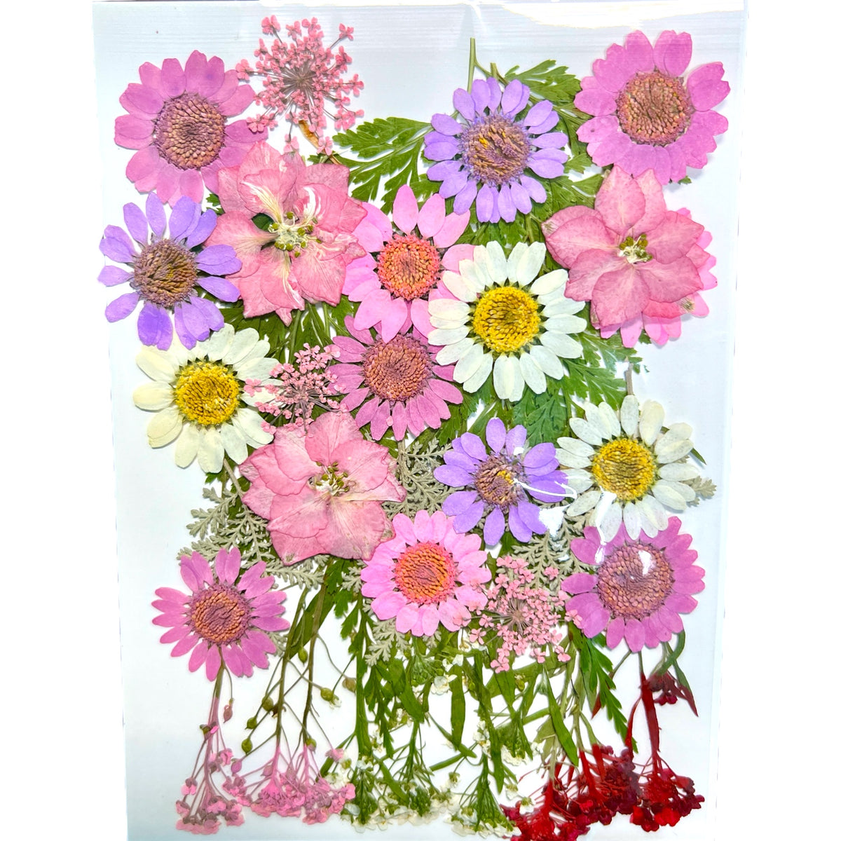 Pretty In Pink Multi-colored Variety of Dried Pressed Real Natural Flowers For Epoxy &amp; UV Resin Art