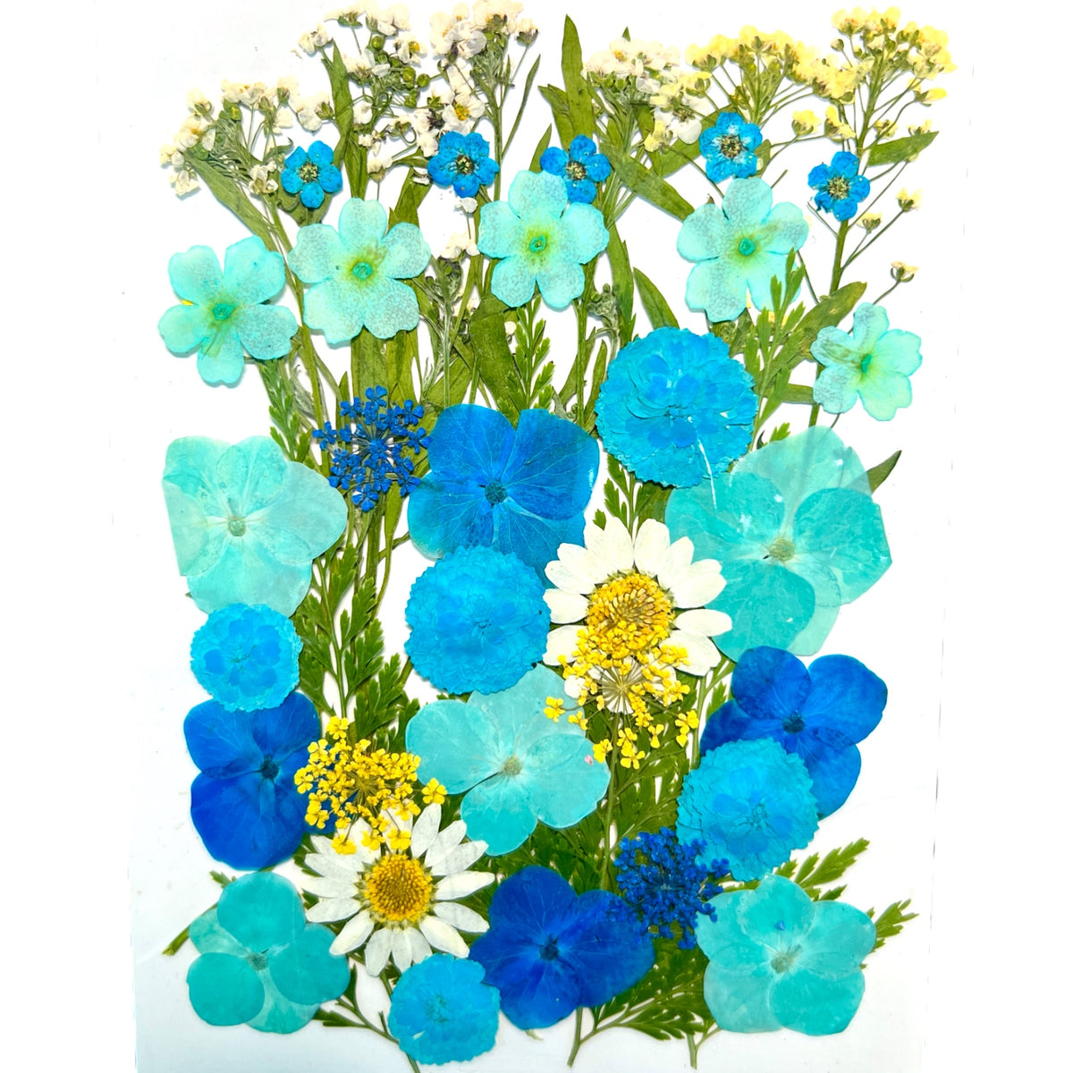 Blue World Multi-colored Variety of Dried Pressed Real Natural Flowers For Epoxy &amp; UV Resin Art