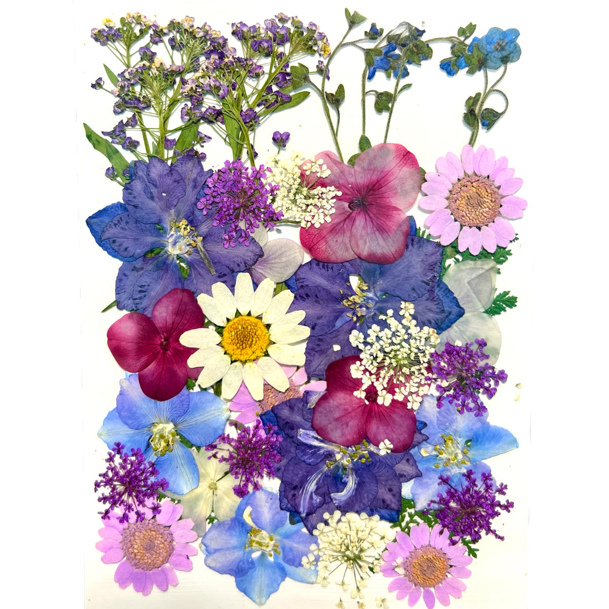 Violet Chemistry Multi-colored Variety of Dried Pressed Real Natural Flowers For Epoxy &amp; UV Resin Art