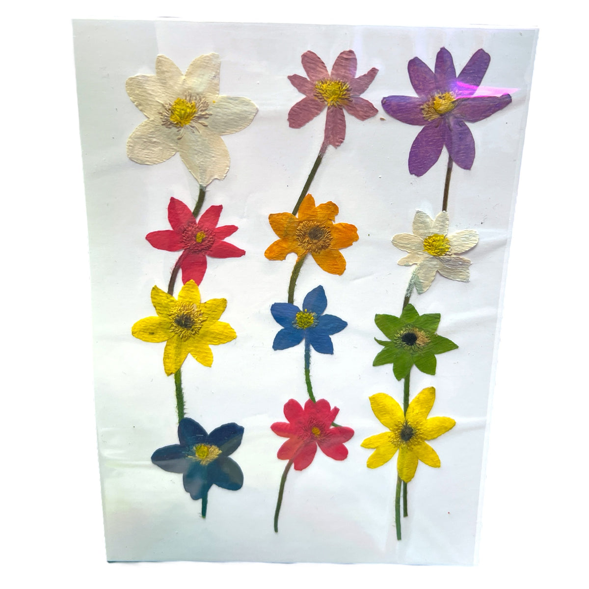 Flowers In Your Hair 12 Piece Multi-colored Variety of Dried Pressed Real Natural Flowers For Epoxy &amp; UV Resin Art