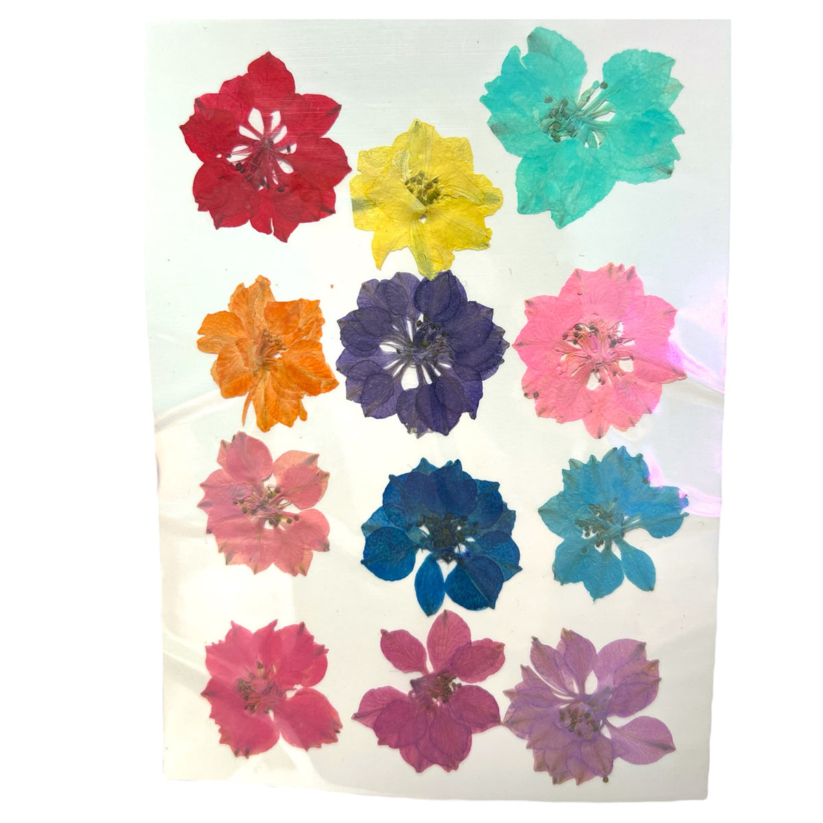Daydream Believer 12 Piece Multi-colored Variety of Dried Pressed Real Natural Flowers For Epoxy &amp; UV Resin Art
