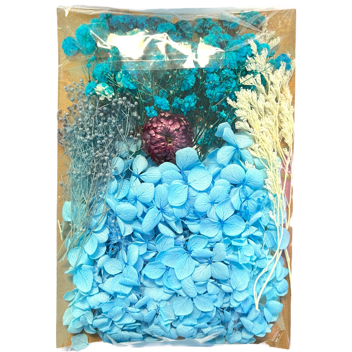 Blue Notes Multi-colored Variety of Dried Real Natural Flowers For Epoxy &amp; UV Resin Art