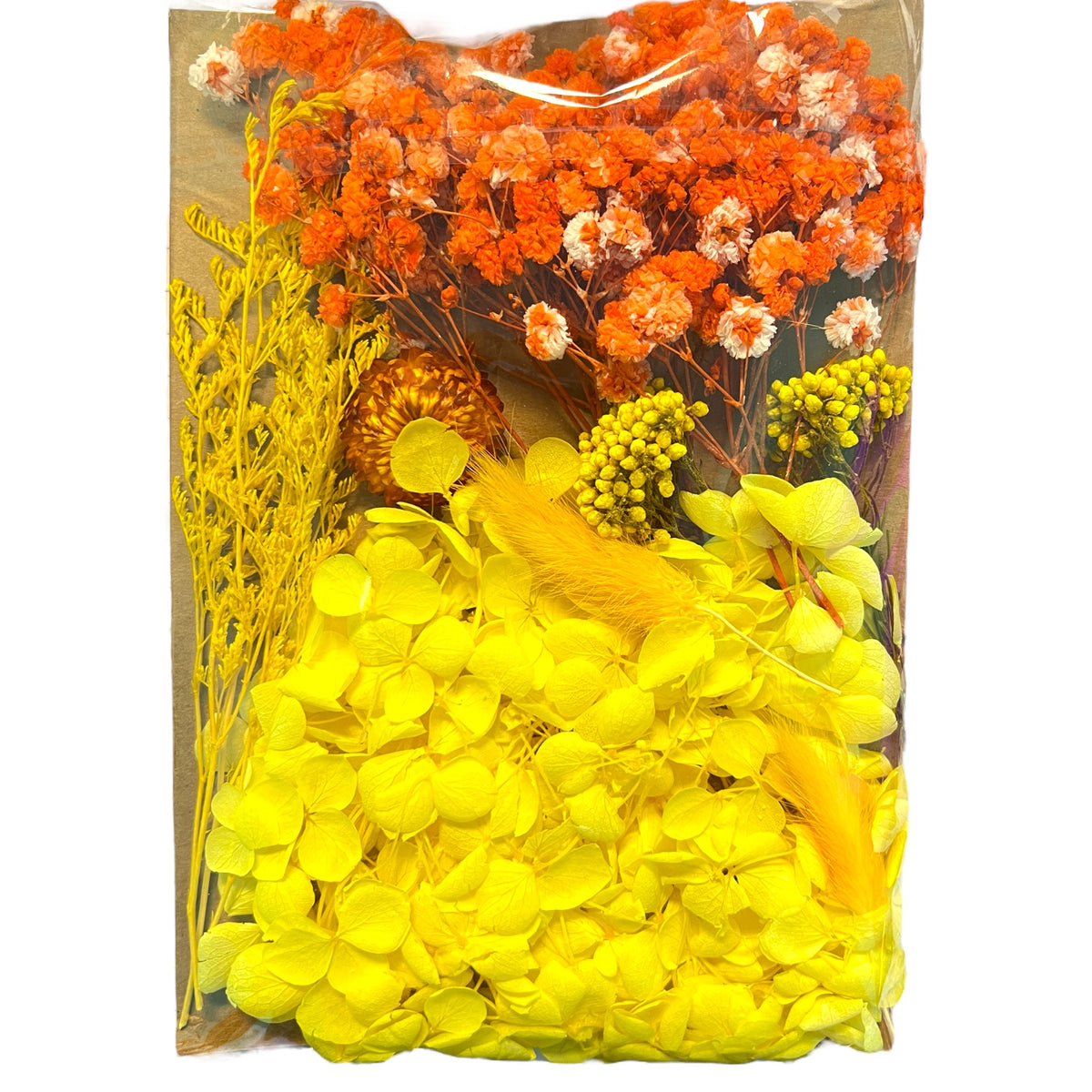 Big Yellow Taxi Multi-colored Variety of Dried Real Natural Flowers For Epoxy &amp; UV Resin Art