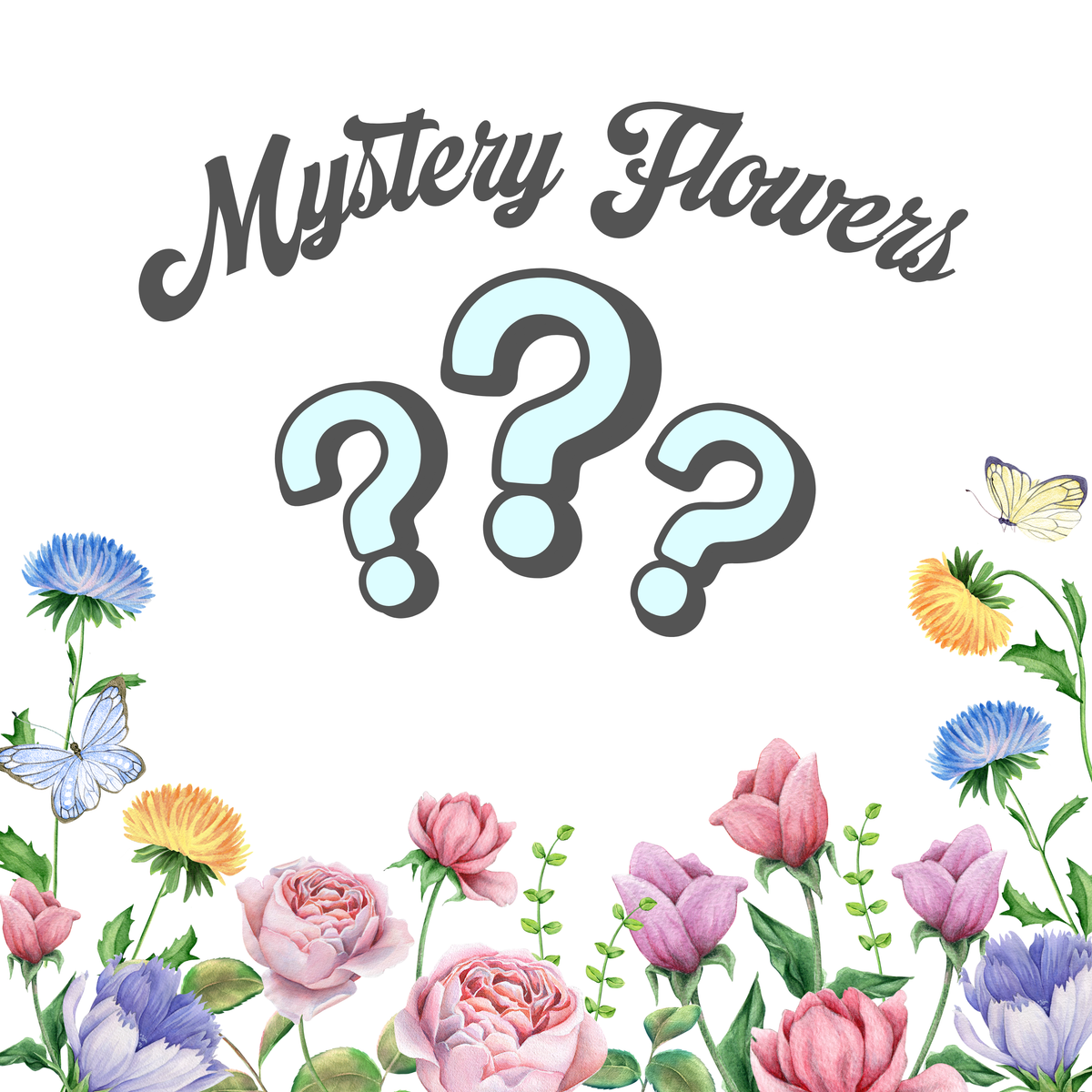 Mystery Flower Pack