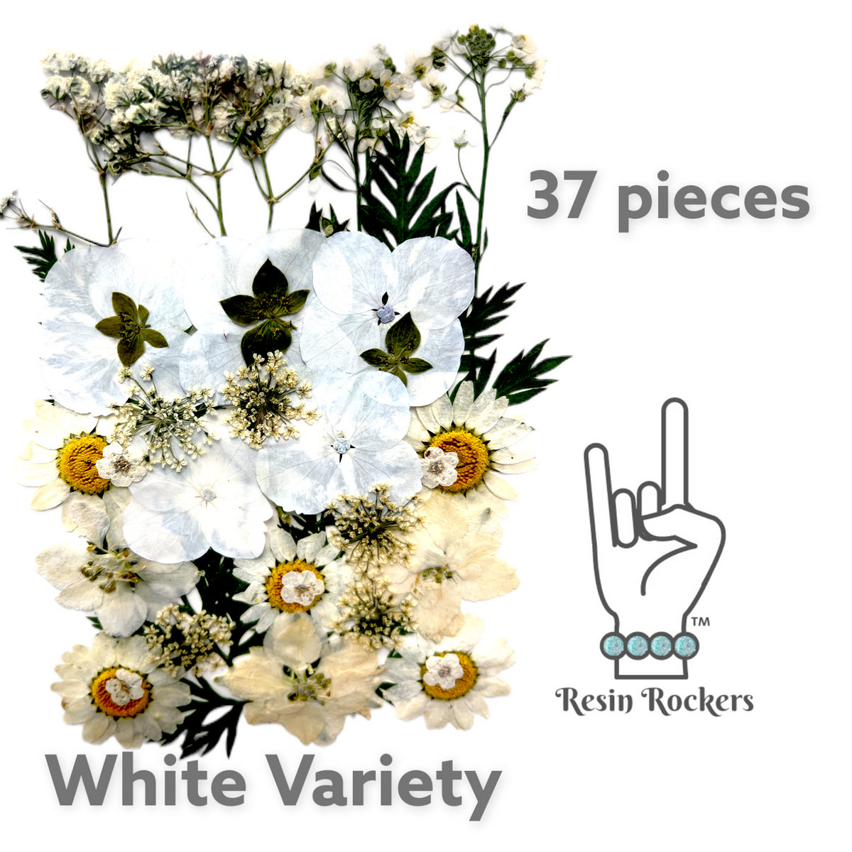 37 Piece White Variety Dried Pressed Real Natural Flowers For Epoxy &amp; UV Resin Art