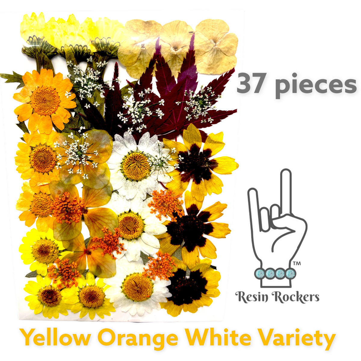 37 Piece Yellow Orange White Variety Dried Pressed Real Natural Flowers For Epoxy &amp; UV Resin Art