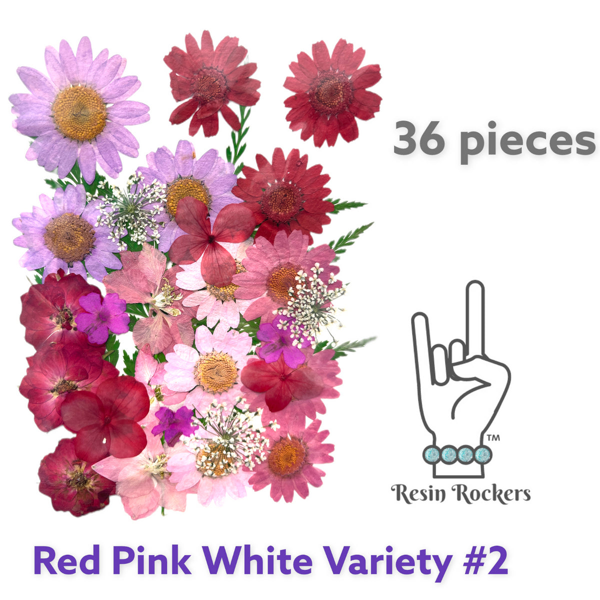 36 Piece Red Pink White Variety #2 Dried Pressed Real Natural Flowers -  Resin Rockers