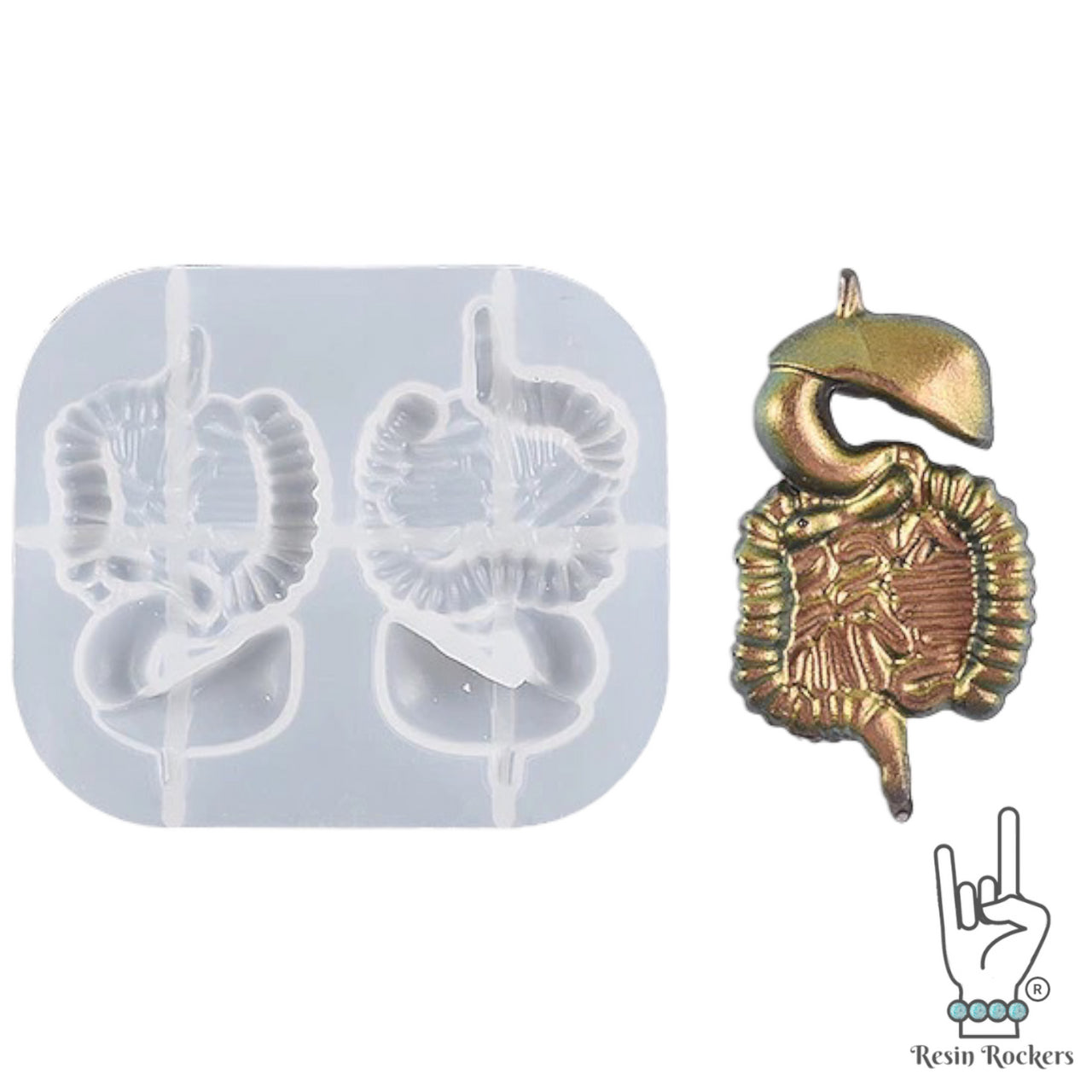 Products Tagged intestines - Resin Rockers